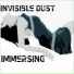 Invisible Dust