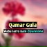 Qamar Gula