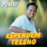 Ponidi