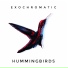 Exochromatic