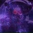 LXST SXKURA
