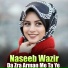 Naseeb Wazir
