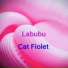 Cat Fiolet