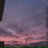 tokyotoro