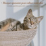 RelaxMyCat