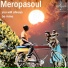 Meropasoul