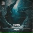 TDWS