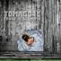 TOMAGO4E