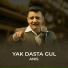 ANIS