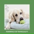 Relaxing Dog Music