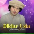 Achanak Aseer