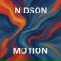 NIDSON