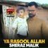 Sheraz Malik