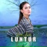 Denik Armila