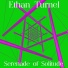 Ethan Turnel