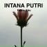intana putri