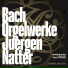 Juergen Natter, Isabella Fink
