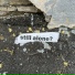 it alone