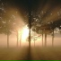 Midnight Dust