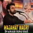 Wajahat Nagri
