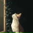 Samly