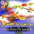 Saad Jan