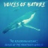 Voices of Nature