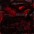 Don Firer