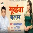 Sanjay Tiwari (Guddu Baba)