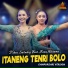 Niken Salindry feat. Rina Aditama