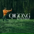 Tai Chi And Qigong, Guided Meditation Music Zone