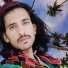 Waseem Armani