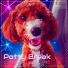 Justine Renee Gonzalez