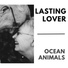 Ocean Animals