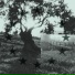 Sog11tplayer