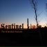 Sentinel