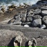 IXVOLTIOS