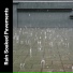Rain Meditations