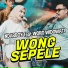 Ndarboy Genk feat. Woro Widowati