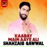 Shahzaib Qawwal