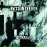 BottomFeeder