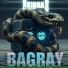 BAGRAY