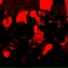 distortionkillamymind