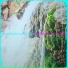 Riversofgarlic01