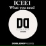 ICEE1