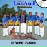 Organización Luz Azul De Miguel Martinez Pacheco