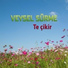 Veysel Sürme