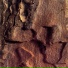 Acustic