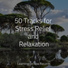 Regen, Música Zen Relaxante, Ambient Forest