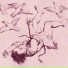 OZANT